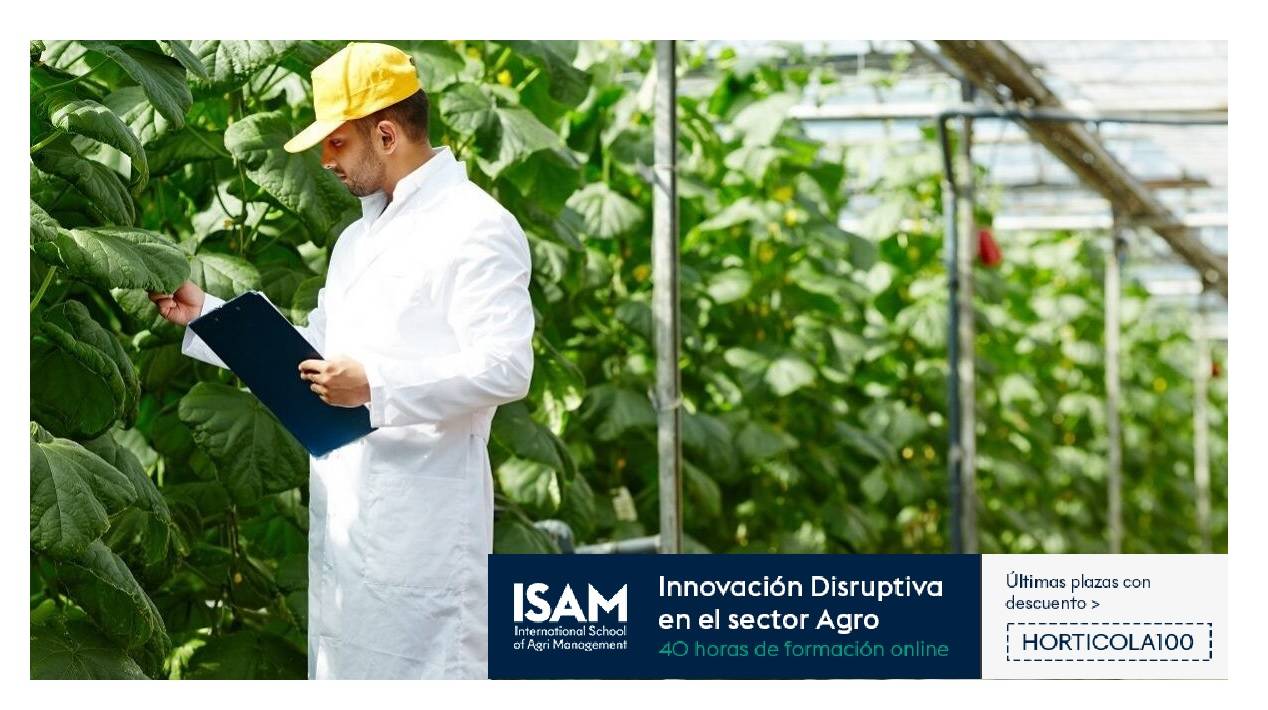 portaa|isam-innovacion|isam-innovacion|14144-copia-1-1199x799